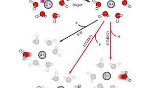 Mechanismus für Strahlenschäden durch Röntgenstrahlung – Die Absorption eines einzigen Röntgenphotons führt zunächst zu der Entstehung eines vierfach positiv geladenen Magnesiumions... (Bild: Abbildung nach Stumpf et al. in Nature Chemistry 8, 237 (2016), Universität Heidelberg)