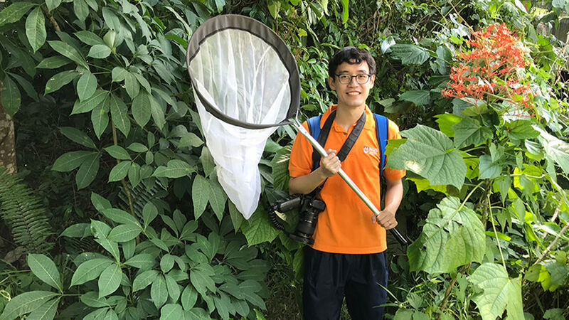 Mr Tan Ming Kai, a PhD student from the NUS Department of Biological Sciences, is a key member of a research team which has discovered that orthopterans, such as grasshoppers and crickets, visit flowers more frequently than previously known, and they pollinate the flowers they visit.  (NUS)