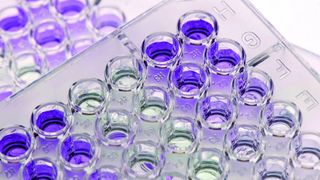 1	 Fluoreszenzassay für die photometrische Bestimmung der Enzymaktivität von Nanopartikel-Enzym-Konjugaten. (Bilder: Fraunhofer IGB) (Archiv: Vogel Business Media)