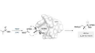 Die Abbildung zeigt die katalytische asymmetrische Addition eines Silylketenacetals an ein in situ erzeugtes Silylnitroniumion.  (Bild: Max-Planck-Institut für Kohlenforschung)