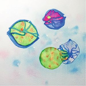 (Alfred-Wegener-Institut / Yameng Lu (Eawag))