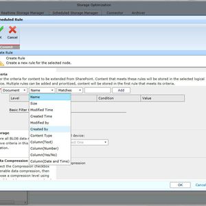 Für Unternehmen, die intern nicht über die erforderlichen Ressourcen für die Implementierung und Administration von EBS und RBS verfügen, stellen Lösungen von Drittanbietern eine Option dar, ihre SharePoint-Speicherung zu optimieren. Über diesen Ansatz können Daten entsprechend organisations- und umgebungsspezifischer Filter wie Inhaltseigenschaften, Dateityp oder Dateigröße auf Speichersysteme niedrigerer Stufe (Tier 2 und 3) ausgelagert werden.