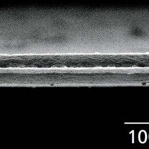 REM-Bild der Schnittflanke einer per Laser geschnittenen Lithium-Metall-Anode. Der Laserprozess erzeugt eine gleichmäßige, nahezu gratfreie Kante mit minimaler Wärmeeinflusszone und ohne mechanische Verformung des reaktiven Metalls.(Bild:  Fraunhofer ILT)