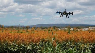 Rund zehn Prozent der Landwirte nutzen inzwischen Drohnen. (gemeinfrei)