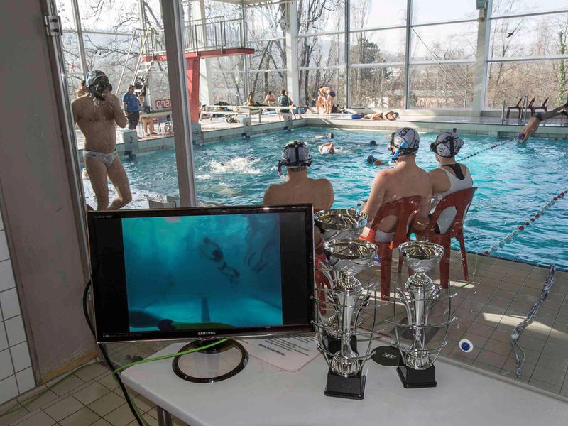 Eine wasserdichte und druckfeste Etherline Y Flex Leitung verbindet die Unterwasserkamera mit dem Bildschirm am Beckenrand. (Bild: Lapp, Oliver Meckes)
