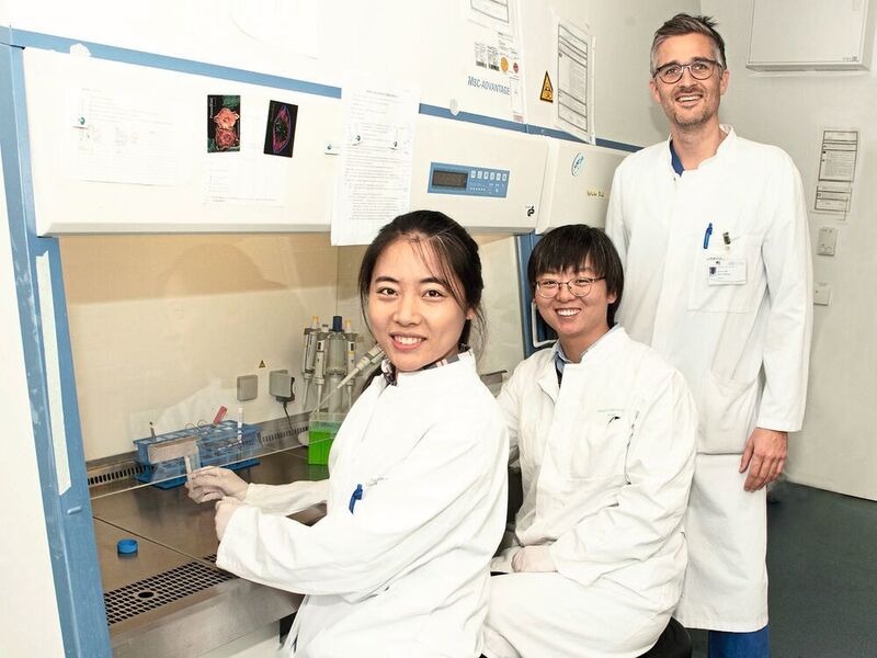 Im Labor erforschen Qian Li (v.l), Yangyang Liu und Dr. Felix Jansen körpereigene Wirkstoffe gegen Herzerkrankungen. (Katharina Wislsperger/UKB)