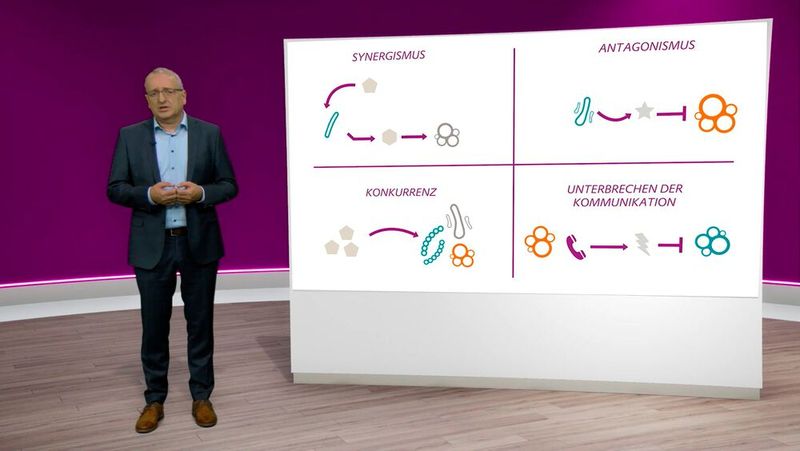 Wissenschaftlich fundierte Aussagen zur Mikrobiom-Freundlichkeit von Kosmetika treffen, ist mit bisherigen Tests kaum möglich. Der Mikrobiomforscher Stefan Pelzer stellte zur Evonik-Forschungspressekonferenz 2024 ein neues Hautmikrobiom-Modell vor, das evidenzbasierte Aussagen zur Mikrobiom-Freundlichkeit ermöglicht. (Bild: VCG)