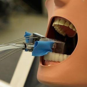 A miniature robot developed at the University of Basel could help prepare teeth for a crown.(Source:  University of Basel, Catherine Weyer)