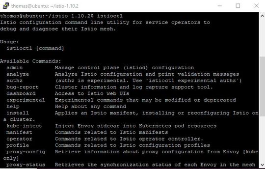 Istio lässt sich mit Istioctl im Linux-Terminal konfigurieren. (Bild:  Thomas Joos)