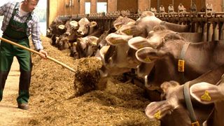 In Deutschland wirbt McDonalds mit seinen Landwirten. In Großbritannien investiert das Unternehmen einen Millionenbetrag in die nachhaltige Landwirtschaft und Viehhaltung.  (Bild: McDonalds)