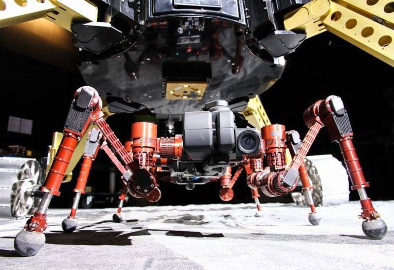Am Ziel angekommen, fährt Crex seine sechs Beine aus und trennt sich vom Rover. Eigenständig navigiert er in den Krater hinein. Die Roboter kommunizieren nun über Funksignale miteinander. (Bild: DKFI/Florian Cordes)