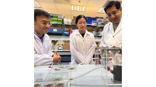 (From left to right) Dr Omkar Kulkarni, currently a research scientist at the L’Oréal – SCELSE joint lab; Samantha Phua, PhD student at NUS and SCELSE; and Assoc Prof Sanjay Swarup, Principal Investigator at the Research Centre on Sustainable Urban Farming under the NUS Faculty of Science and Deputy Research Director at SCELSE. (Source: SCELSE)