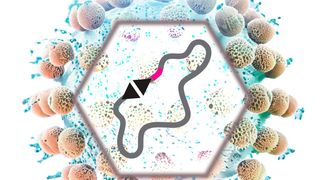 Ein Maverick Virus-ähnliches Partikel als Vektor des horizontalen Gentransfers (HGT).  (Bild: ©IMBA-IMP Graphics)