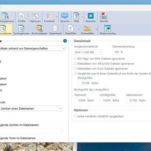 Anpassen der Suchmethode von AllDup.(Bild:  Joos (Screenshot))