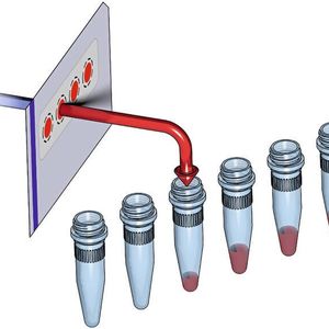 Abb. 3: Schematische Darstellung der DBS-Extraktion nach dem Flow Through Desorption (FTD)-Prinzip (Bild:  Andre Knoop et al. [1])