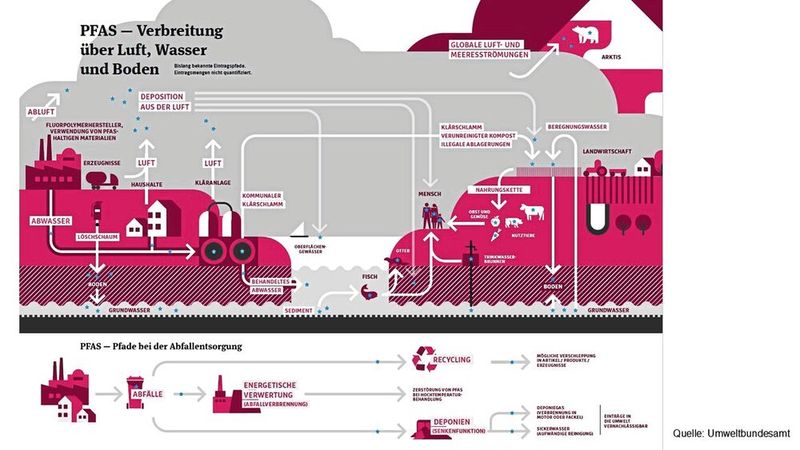 Einmal in der Welt, bleiben sie dort: Die Grafik des Umweltbundesamtes zeigt, wie die „Ewigkeitschemikalien“ über Luft und Wasser in die Nahrungskette gelangen. Die fehlende Abbaubarkeit ist der Hauptgrund für die strengen Pläne der ECHA. (Bild: Umweltbundesamt)