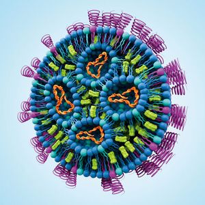 Evonik unterstützt pharmazeutische und biopharmazeutische Unternehmen weltweit mit einem Netzwerk für die Entwicklung und Herstellung von Lipid- und LNP-Formulierungen, das alle Bereiche der Wertschöpfungskette umfasst.(Bild:  Evonik)