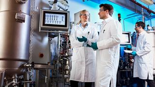 Covestro und Partner haben ein  neues Verfahren entwickelt, um die wichtige Chemikalie Anilin erstmals komplett aus Pflanzen herzustellen. (Covestro AG)