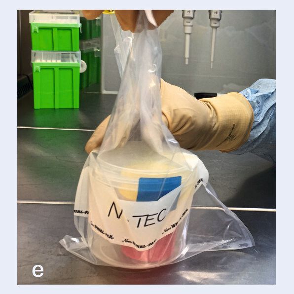 Das gereifte Knorpelprodukt wird im Reinraum für den Versand vorbereitet. (Bild: TERM / UKW)