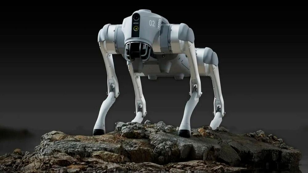 Not Humanoids, But Robotic Dogs Are the Most Important Testing Ground ...