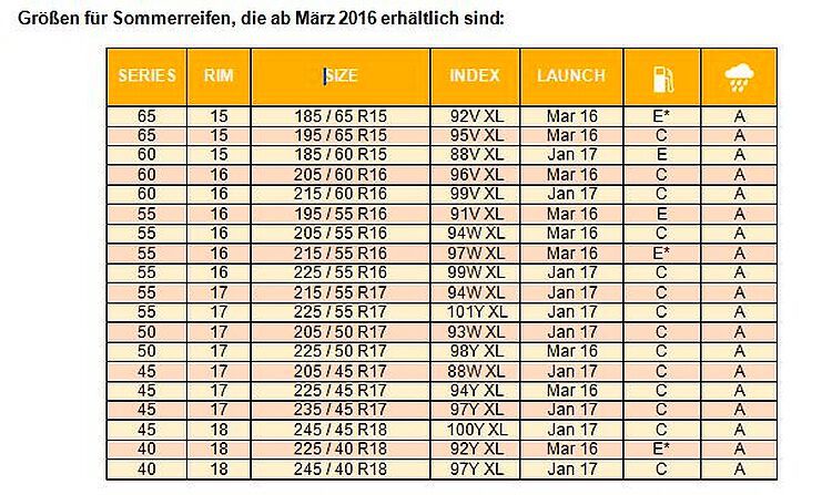 Der Driveguard wird in erster Linie für die Kompakt- und Mittelklasse angeboten. Ab Juni folgen noch elf Wintergrößen. ( Quelle Bridgestone)