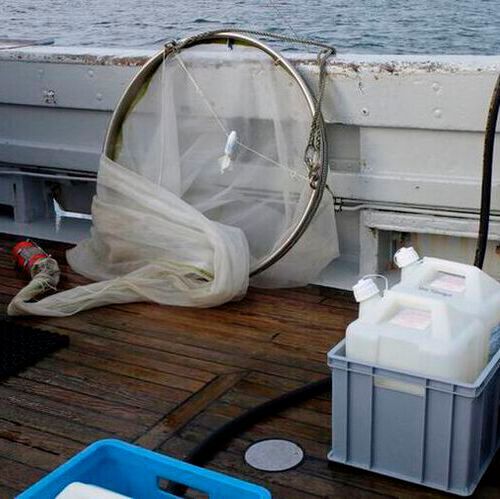 Sampling on the ship to study seawater from the North Sea. The seawater is filled into large canisters and cooled and brought back to the lab where the microcosm experiments are conducted.