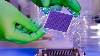 Mit einer am Leibniz-Institut für Plasmaforschung und Technologie (INP) in Greifswald entwickelten Membran-Elektroden-Anordnung kann in Elektrolyseuren bis zu 95 % des seltenen Metalls Iridium eingespart werden. (Bild: INP)