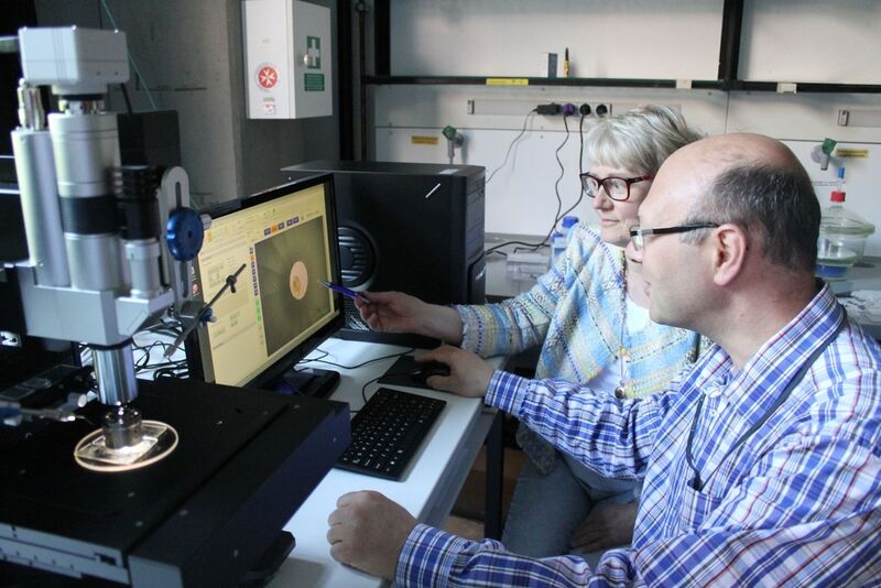 Prof. Dr. Natalia Dubrovinskaia und Prof. Dr. Leonid Dubrovinsky an einem Mikromanipulator, mit dem Proben für die Untersuchung in zweistufigen Diamantstempelzellen vorbereitet werden. (Bild: Universität Bayreuth)