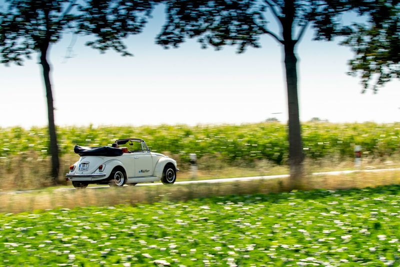 Er leistet 60 kW/82 PS. (Volkswagen)