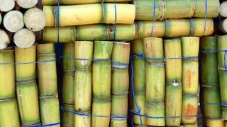 Im thailändischen Nakhon Sawan, über 200 km nördlich von Bangkok gelegen, wird die weltgrößte Zuckermühle einem Integrated Drive System von Siemens angetrieben. (Siemens)