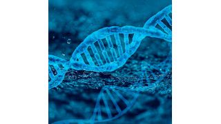 The findings come from working with multiple institutes worldwide, including two universities and two hospitals in the Kingdom.  (Source: Pixabay)