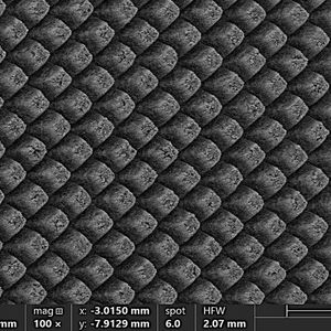 REM-Aufnahme einer mittels Ultrakurzpulslaser erzeugten Mikrostruktur auf der Oberfläche eines Festelektrolyten. Die Struktur erhöht die effektive Kontaktfläche, verbessert die Stromverteilung und kann die Grenzflächenimpedanz zwischen Elektrolyt und Lithium-Metall-Anode reduzieren.(Bild:  Fraunhofer ILT)