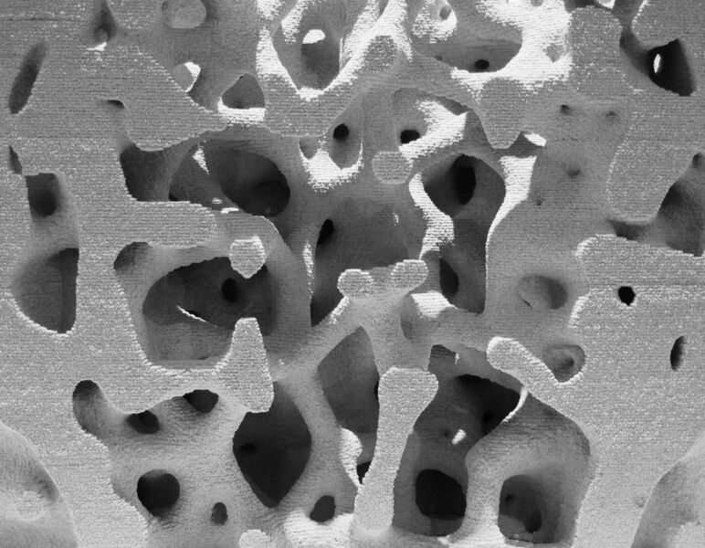 Zellulares Bauelement aus Leichtbeton, hergestellt durch selektives Binden (Cement Activation)  ( K. Henke / TUM)