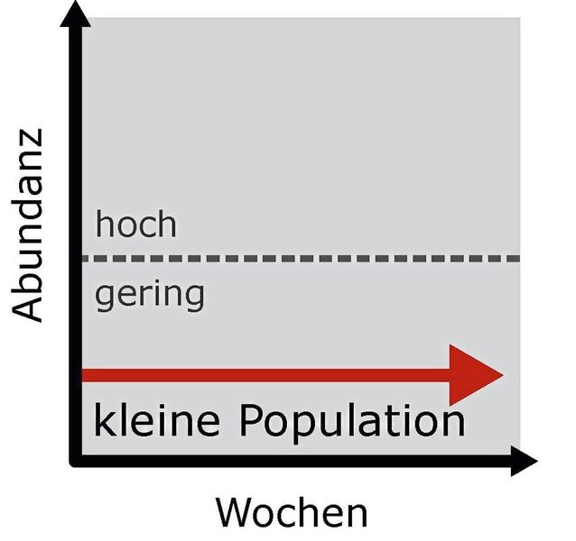 …Daher bleibt die Populationsgröße trotz der hohen Aktivität gering. (DSMZ)