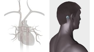 Medical_Profile_2014_Banner7_1000x300 ()