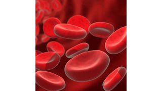 The administration of products such as Sevenfact promotes clot formation and controls bleeding. (Deposit Photos )