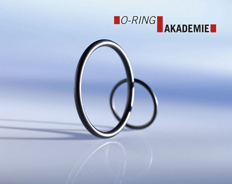 Auf den ersten Blick wirken O-Ringe einfach und unscheinbar. Dabei handelt es sich um sensible Bauteile, die in der Praxis häufig falsch gehandhabt werden.  (Bild: COG)