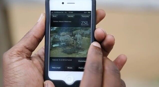 Die Wildhüter im Tsavo-Nationalpark können über eine App die aufgenommen Bilder begutachten und Missstände aufdecken. (CamConsultants)