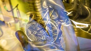 Organische Solarzellen (Bild: www.lunghammer.at / TU Graz)