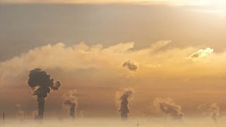 Die Software AG hat mit „ARIS for sustainability“ ein Paket für die Umsetzung von Nachhaltigkeitsinitiativen vorgestellt.  (Bild: gemeinfrei, Foto-Rabe / Pixabay)