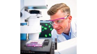 Einer der aktuellen Forschungsschwerpunkte bei Evonik ist die Züchtung von Gewebe. (Evonik Industries AG)