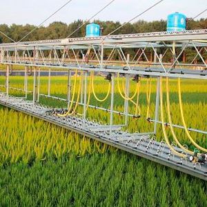 Den grünen vector gewinnt das Unternehmen Dercks Gartenbau GmbH aus Geldern für den Einsatz von Energiekettensystemen in Exaktgießwagen mit 45 m Spannweite.(Bild:  Igus)