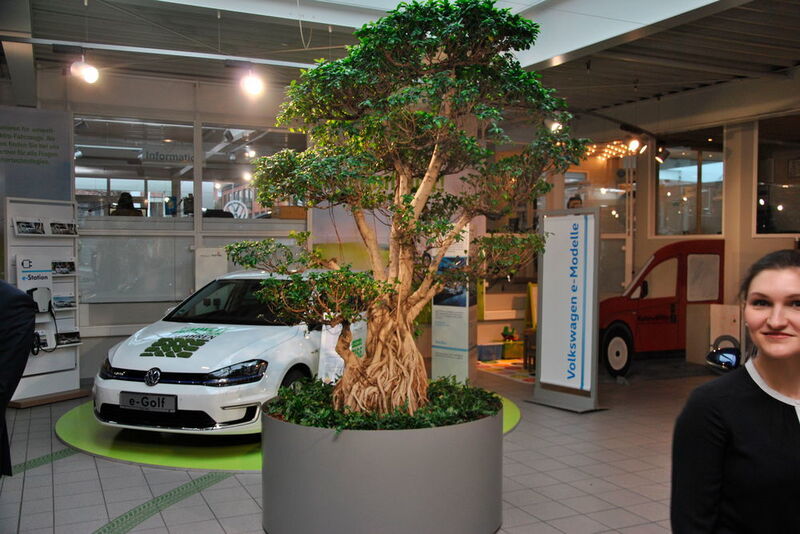Der Baum steht für den Anspruch des Autohauses, Ökologie mit Ökonomie zu verbinden. (v. Maltzan)