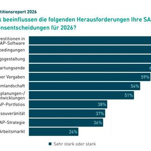 Der Einfluss von Herausforderungen auf SAP-Investitionsentscheidungen.(Bild:  DSAG)