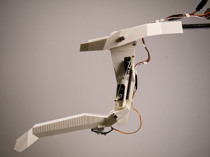 Entstanden im 3D-Drucker: Die Wissenschaftler des Zoologischen Instituts der CAU haben die biomechanischen Funktionsprinzipien der Fangmaske für die Robotik adaptiert.

 (Alexander Köhnsen, CAU Kiel)