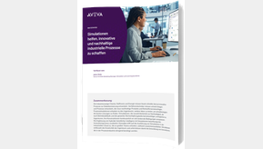 Aveva Titelbild WP2 PROC