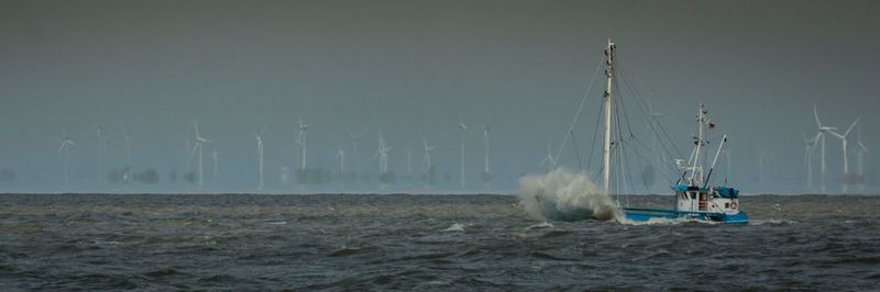 Je nach Wetterlage erreicht die Windgeschwindigkeit hinter Offshore-Parks erst nach
zehn bis 100 km ihren ursprünglichen Wert: Mögliche Auswirkungen auf andere
Parks und örtliches Klima untersucht das Projekt WIPAFF. (Progress von Anonymous Account/Flickr.com)