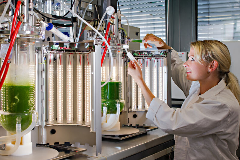 Studentin Olga Shostak am LED-Biorekator (Bild: Andreas Heddergott / TU München)