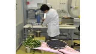 Wissenschaftler untersuchen im Forschungsprojekt die hydrothermale Carbonisierung von Klärschlämmen. Ziel ist die Entwicklung hochwertiger Bodenhilfsstoffe und Dünger. (Bild: UFZ)