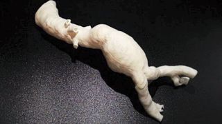 Mit dem Dynamic-Molding-Verfahren werden Nachbildungen von Organen hergestellt. (3 Deus Dynamics)